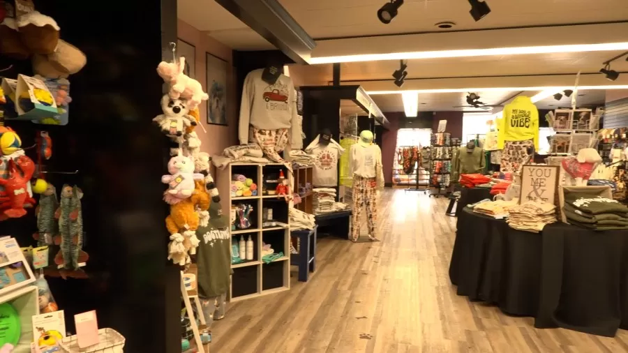 Empowering Our Community: The Impact of Supporting Local Businesses on Small Business Saturday