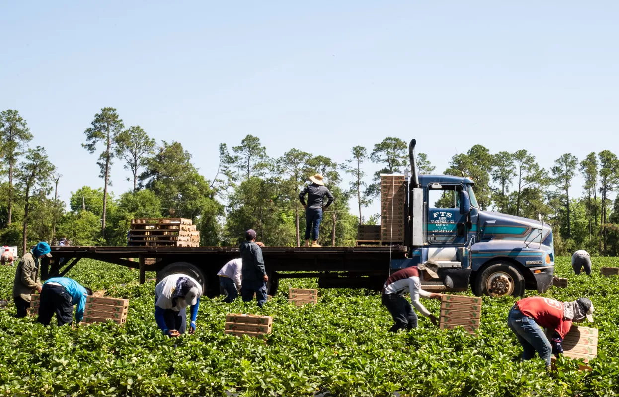 Understanding Long Beach Immigration Laws and Resources