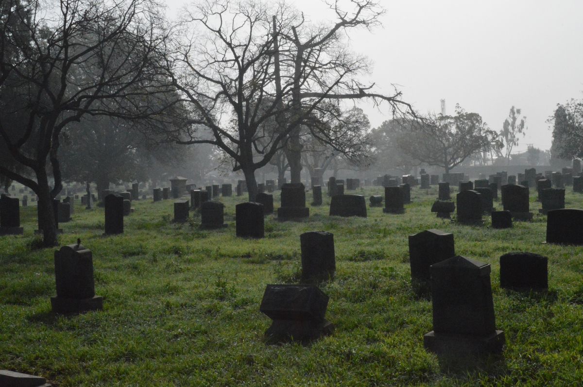 The 7 Most Haunted Places in Long Beach — If You Dare