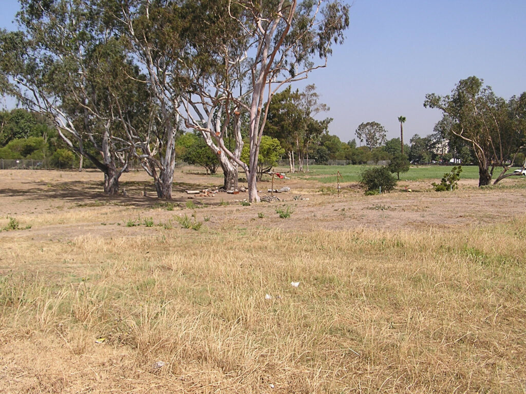Puvungna sacred Indigenous site on the Cal State Long Beach campus