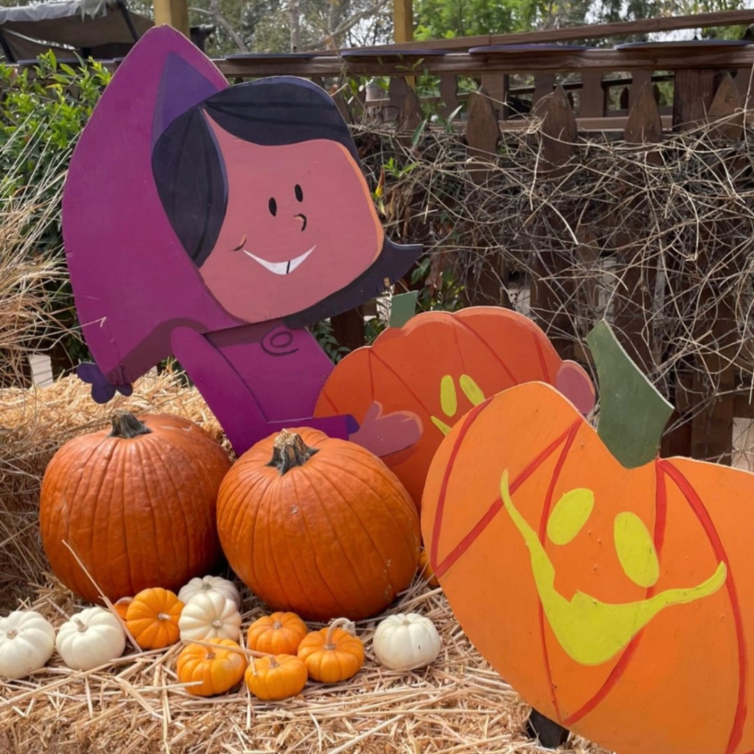 PUMPKIN PATCH AT EL DORADO FRONTIER